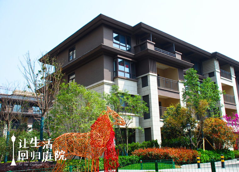 前后张望南阳50年：这样的天井，，，，，很难再有了！
