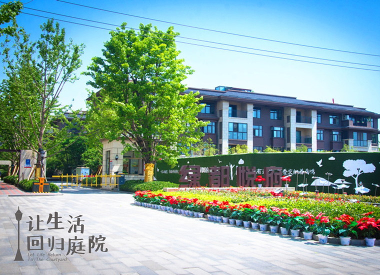 前后张望南阳50年：这样的天井，，，，，很难再有了！