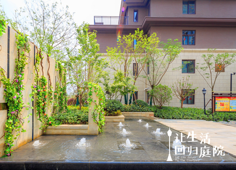 前后张望南阳50年：这样的天井，，，，，很难再有了！