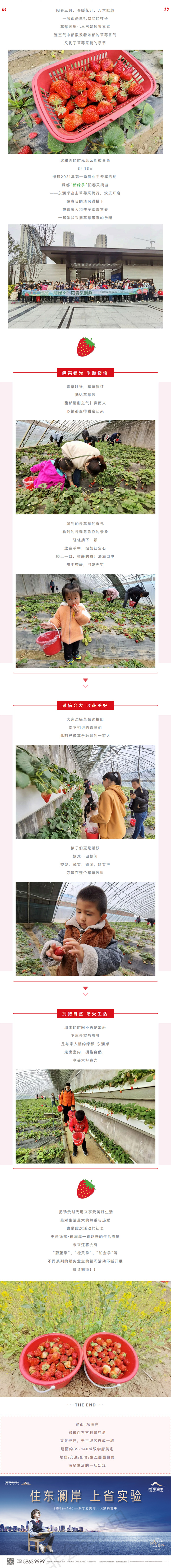 草莓采摘行|“莓”好同业，，，，，不负春日好时光
