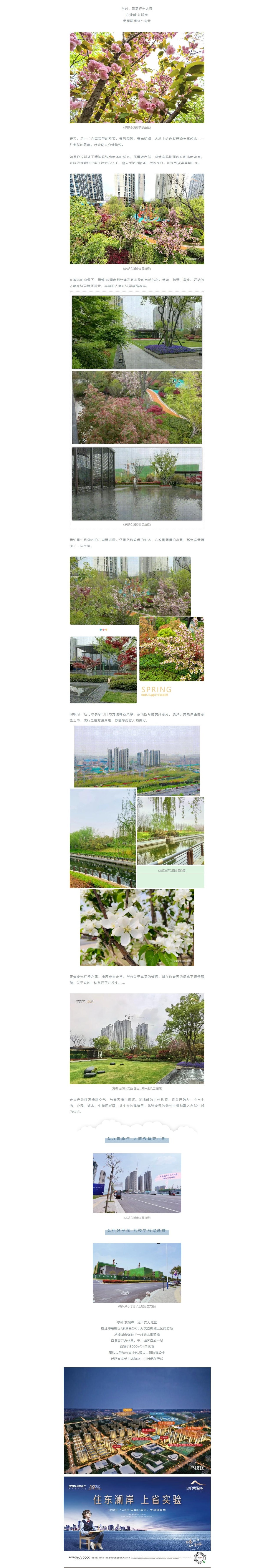 赏花踏青，，，，，，，，来一场和春天的约会